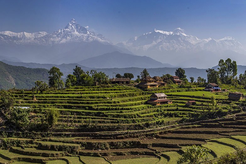 Siklish and Ghale Gaon Home Stay