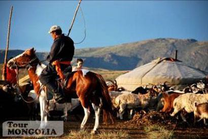 Trekking Tour in Mongolia