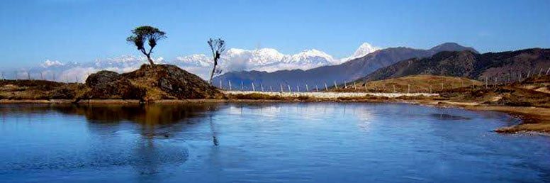 Milke Danda Rhododendron Trek