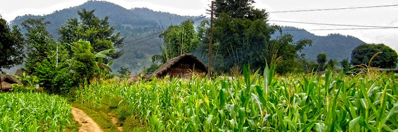 Makalu Base Camp Trek