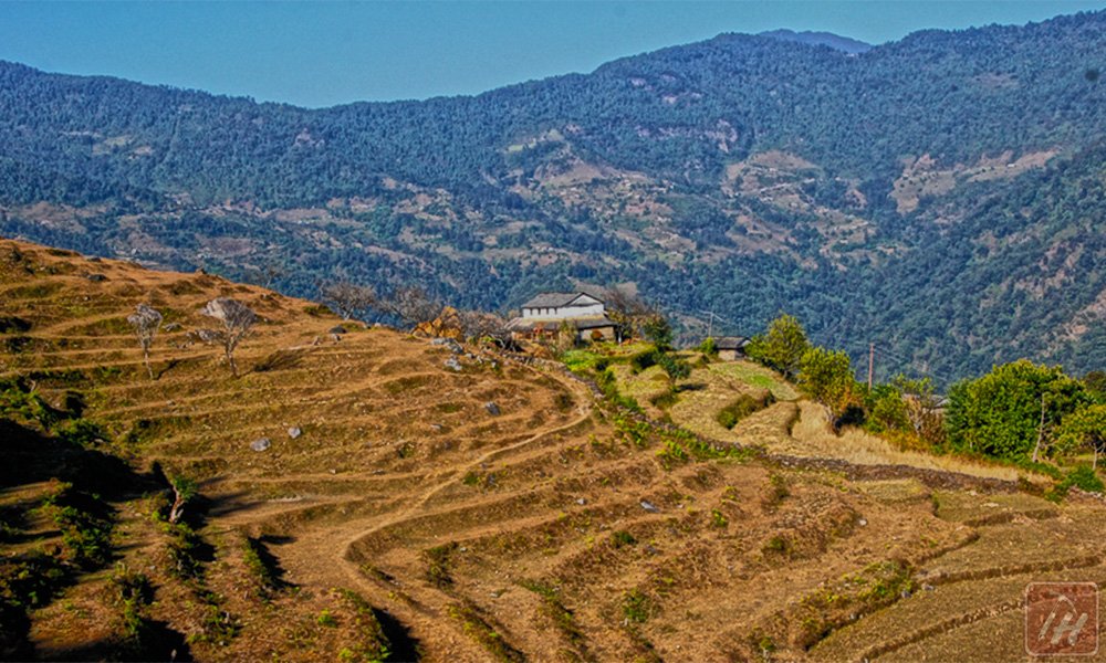Sarangkot Australian Camp Dhampus Trek