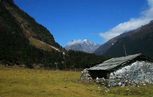 Yuksom – Dzongri Trek