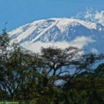 Kilimanjaro Climb: Lemosho Crater Route