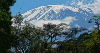 Kilimanjaro Climb: Lemosho Crater Route